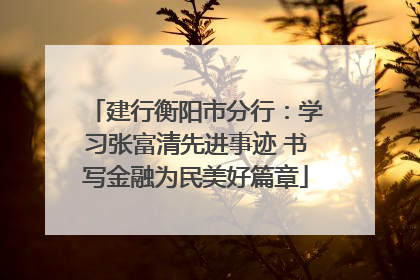 建行衡阳市分行：学习张富清先进事迹 书写金融为民美好篇章
