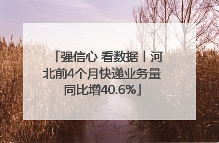 强信心 看数据丨河北前4个月快递业务量同比增40.6%