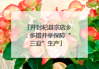 开封杞县宗店乡：多措并举保障“三夏”生产