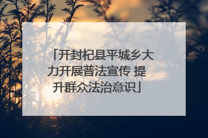 开封杞县平城乡大力开展普法宣传 提升群众法治意识