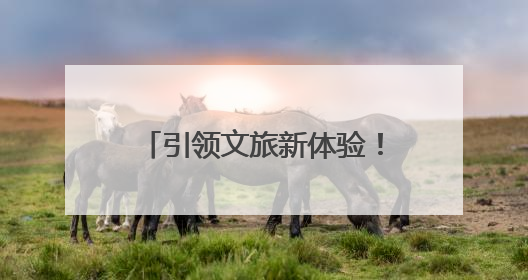 引领文旅新体验！6个项目入选河南省旅游演艺精品名录
