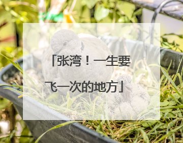 张湾！一生要飞一次的地方