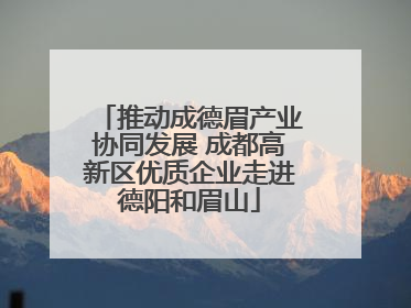 推动成德眉产业协同发展 成都高新区优质企业走进德阳和眉山
