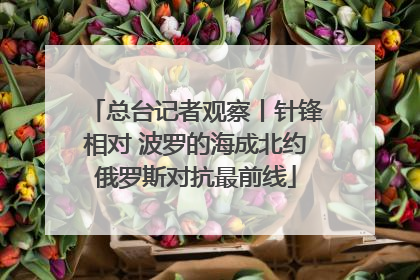 总台记者观察丨针锋相对 波罗的海成北约俄罗斯对抗最前线
