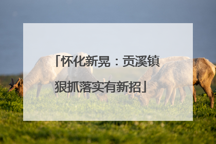 怀化新晃：贡溪镇狠抓落实有新招