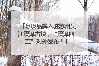 意境品牌入驻苏州吴江震泽古镇，“震泽四宝”对外发布！