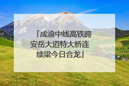 成渝中线高铁跨安岳大道特大桥连续梁今日合龙