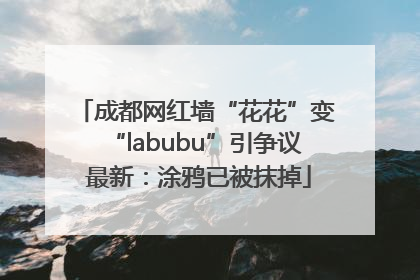 成都网红墙“花花”变“labubu”引争议 最新：涂鸦已被抹掉
