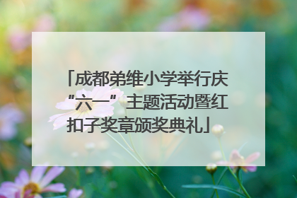 成都弟维小学举行庆“六一”主题活动暨红扣子奖章颁奖典礼