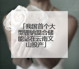我国首个大型锂钠混合储能站在云南文山投产