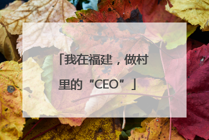 我在福建,做村里的“CEO”