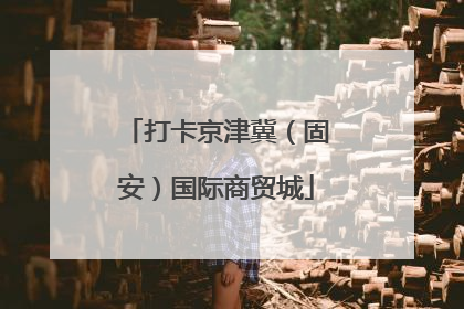 打卡京津冀（固安）国际商贸城