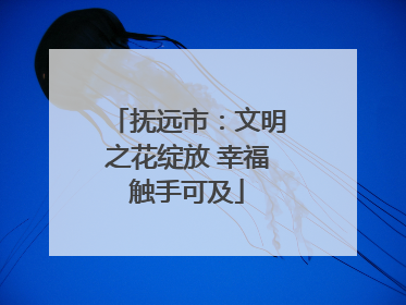 抚远市：文明之花绽放 幸福触手可及