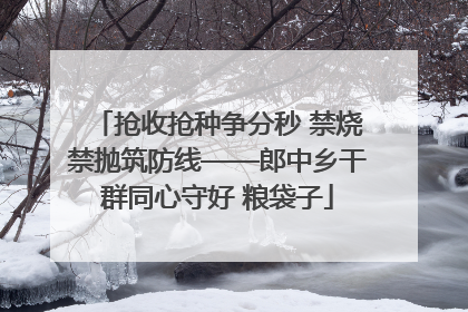 抢收抢种争分秒 禁烧禁抛筑防线——郎中乡干群同心守好 粮袋子
