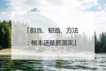 担当、韧劲、方法：根本还是抓落实