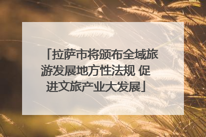 拉萨市将颁布全域旅游发展地方性法规 促进文旅产业大发展