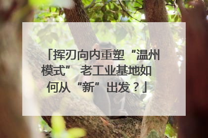 挥刃向内重塑“温州模式” 老工业基地如何从“新”出发？