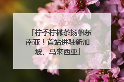 柠季柠檬茶扬帆东南亚！首站进驻新加坡、马来西亚
