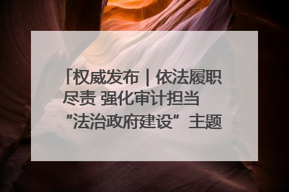 权威发布｜依法履职尽责 强化审计担当 “法治政府建设”主题系列新闻发布会市审计局专场召开
