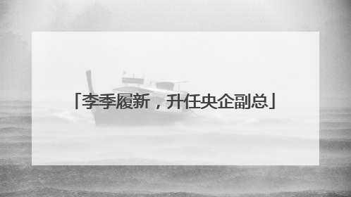 李季履新，升任央企副总