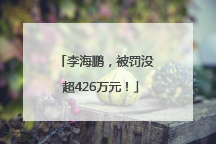 李海鹏，被罚没超426万元！