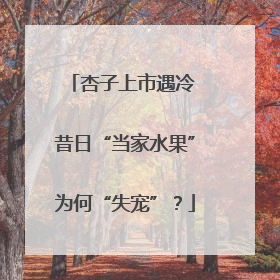 杏子上市遇冷 昔日“当家水果”为何“失宠”？