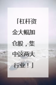 杠杆资金大幅加仓股，集中这两大行业！
