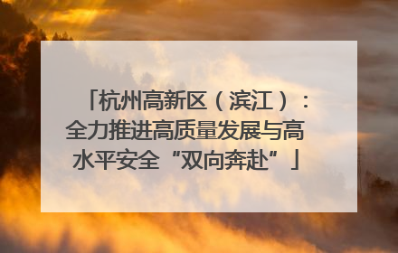 杭州高新区（滨江）：全力推进高质量发展与高水平安全“双向奔赴”