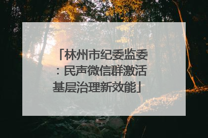 林州市纪委监委：民声微信群激活基层治理新效能