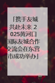 携手友城 共赴未来 2025黄河口国际友城合作交流会在东营市成功举办