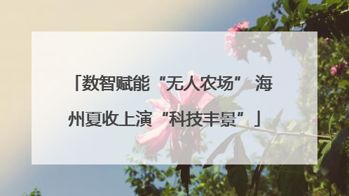 数智赋能“无人农场” 海州夏收上演“科技丰景”