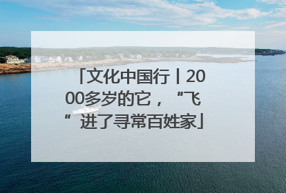 文化中国行丨2000多岁的它，“飞”进了寻常百姓家