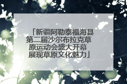 新疆阿勒泰福海县第二届沙尔布拉克草原运动会盛大开幕 展现草原文化魅力