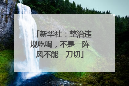 新华社：整治违规吃喝，不是一阵风不能一刀切