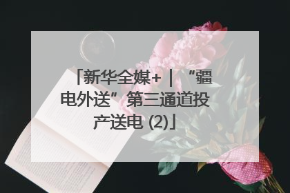 新华全媒+｜“疆电外送”第三通道投产送电 (2)