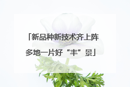 新品种新技术齐上阵 多地一片好“丰”景