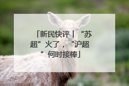 新民快评丨“苏超”火了，“沪超”何时接棒