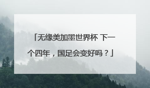 无缘美加墨世界杯 下一个四年，国足会变好吗？