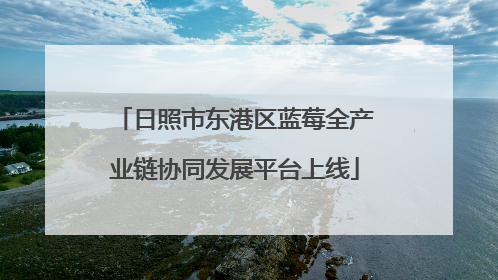 日照市东港区蓝莓全产业链协同发展平台上线