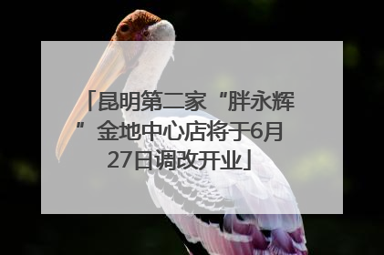昆明第二家“胖永辉”金地中心店将于6月27日调改开业