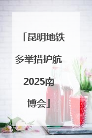 昆明地铁多举措护航2025南博会