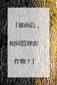 暴雨后，如何管理农作物？