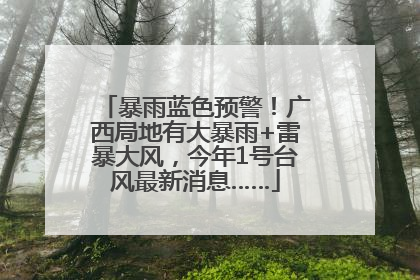 暴雨蓝色预警！广西局地有大暴雨+雷暴大风，今年1号台风最新消息……
