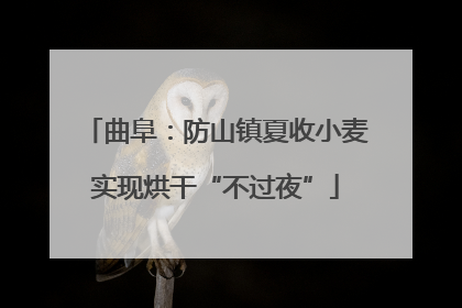 曲阜：防山镇夏收小麦实现烘干“不过夜”