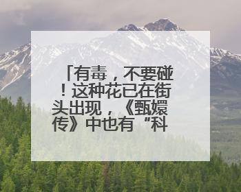 有毒，不要碰！这种花已在街头出现，《甄嬛传》中也有“科普”