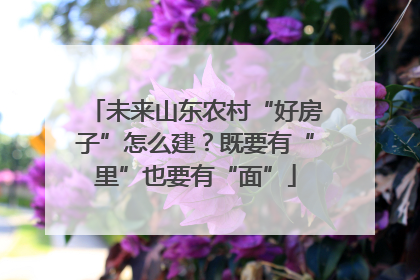 未来山东农村“好房子”怎么建？既要有“里”也要有“面”