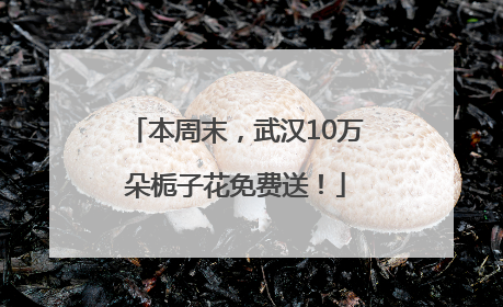 本周末，武汉10万朵栀子花免费送！