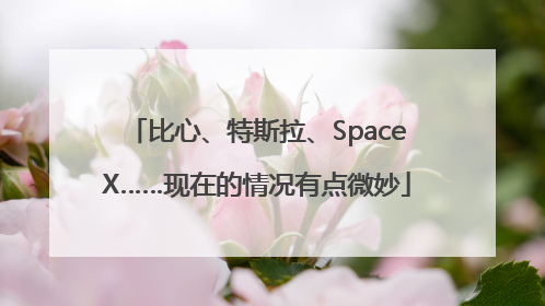 比心、特斯拉、SpaceX……现在的情况有点微妙