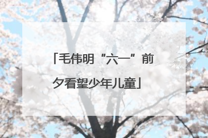 毛伟明“六一”前夕看望少年儿童