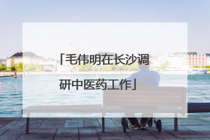 毛伟明在长沙调研中医药工作